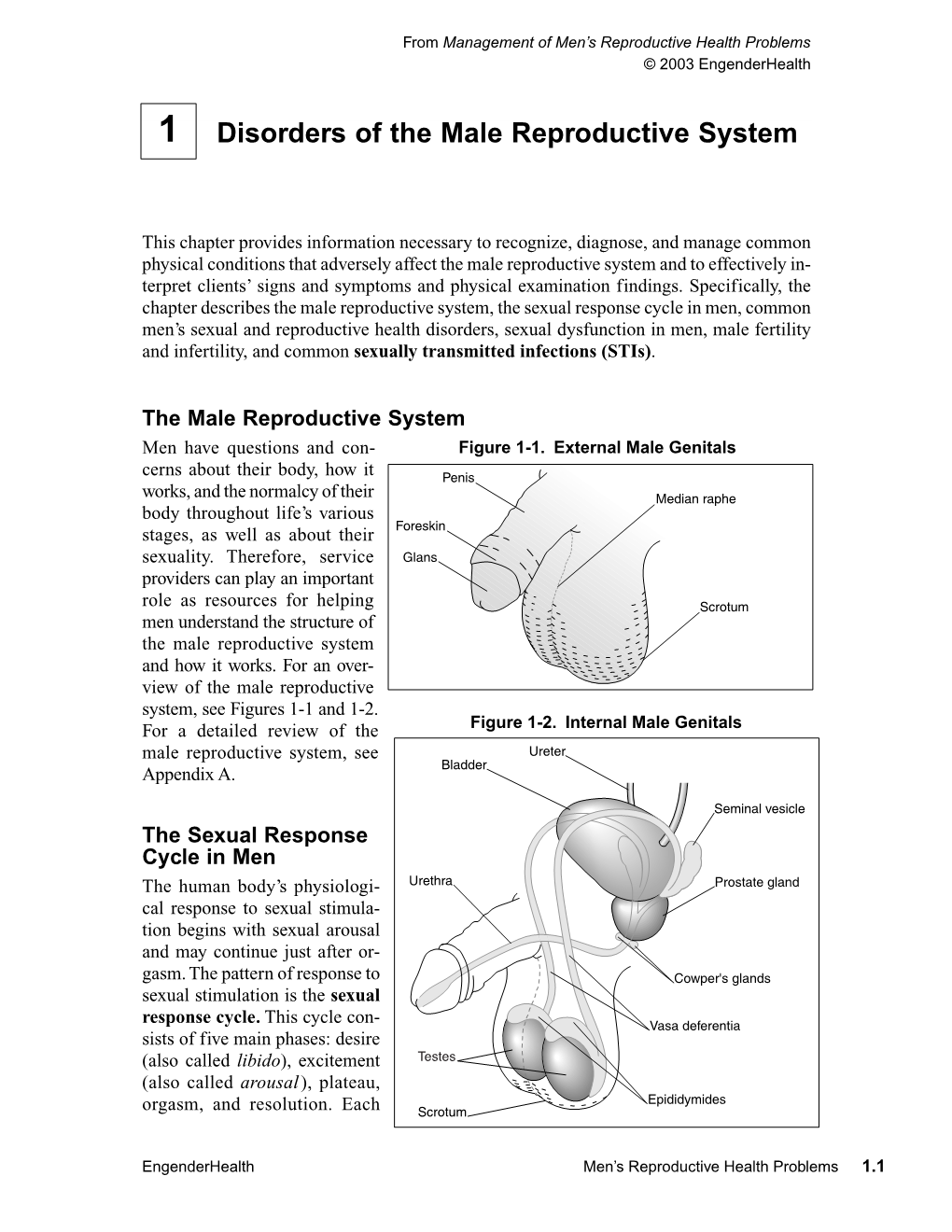 Disorders of the Male Reproductive System