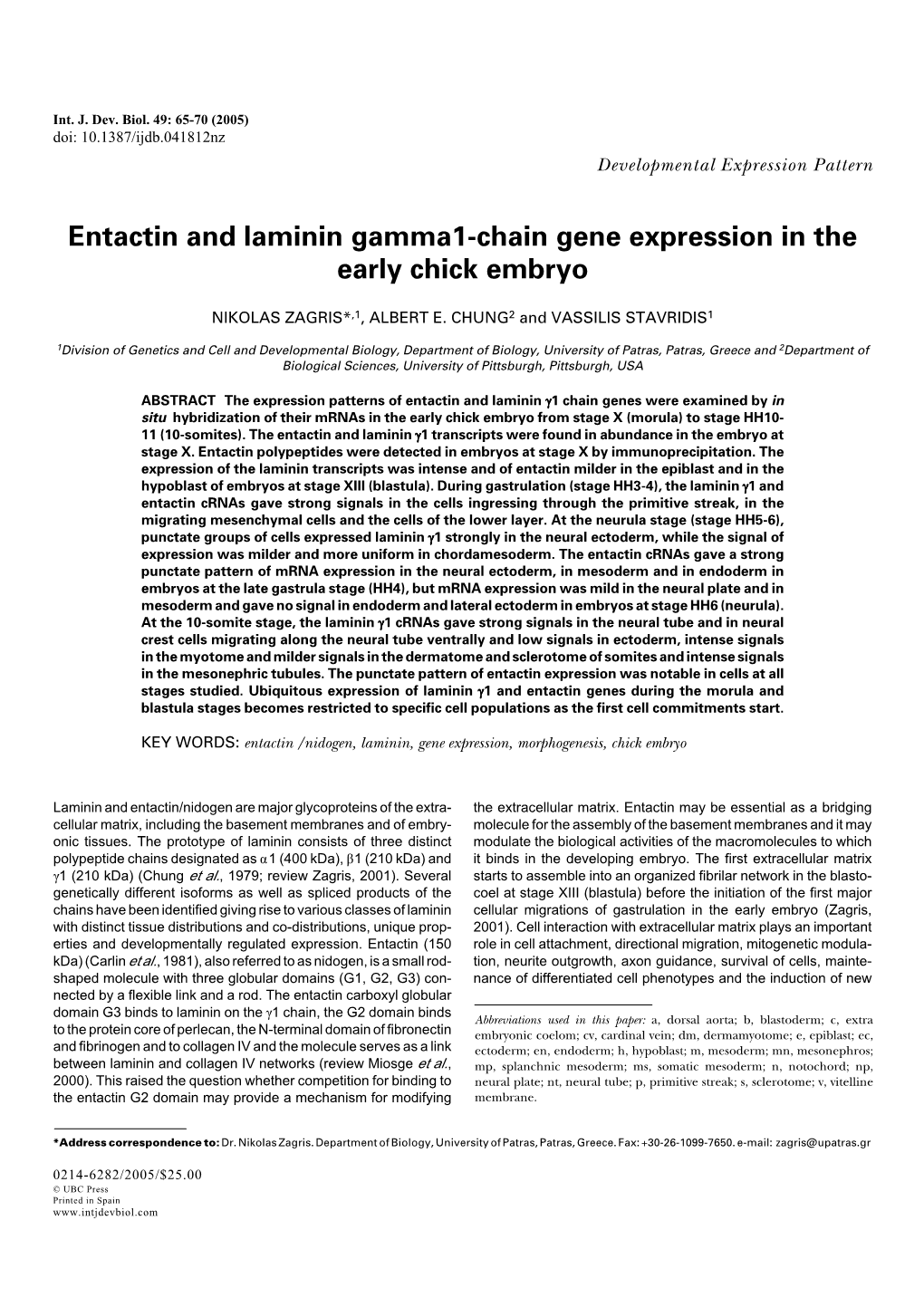 Entactin and Laminin Gamma1-Chain Gene Expression in the Early Chick Embryo