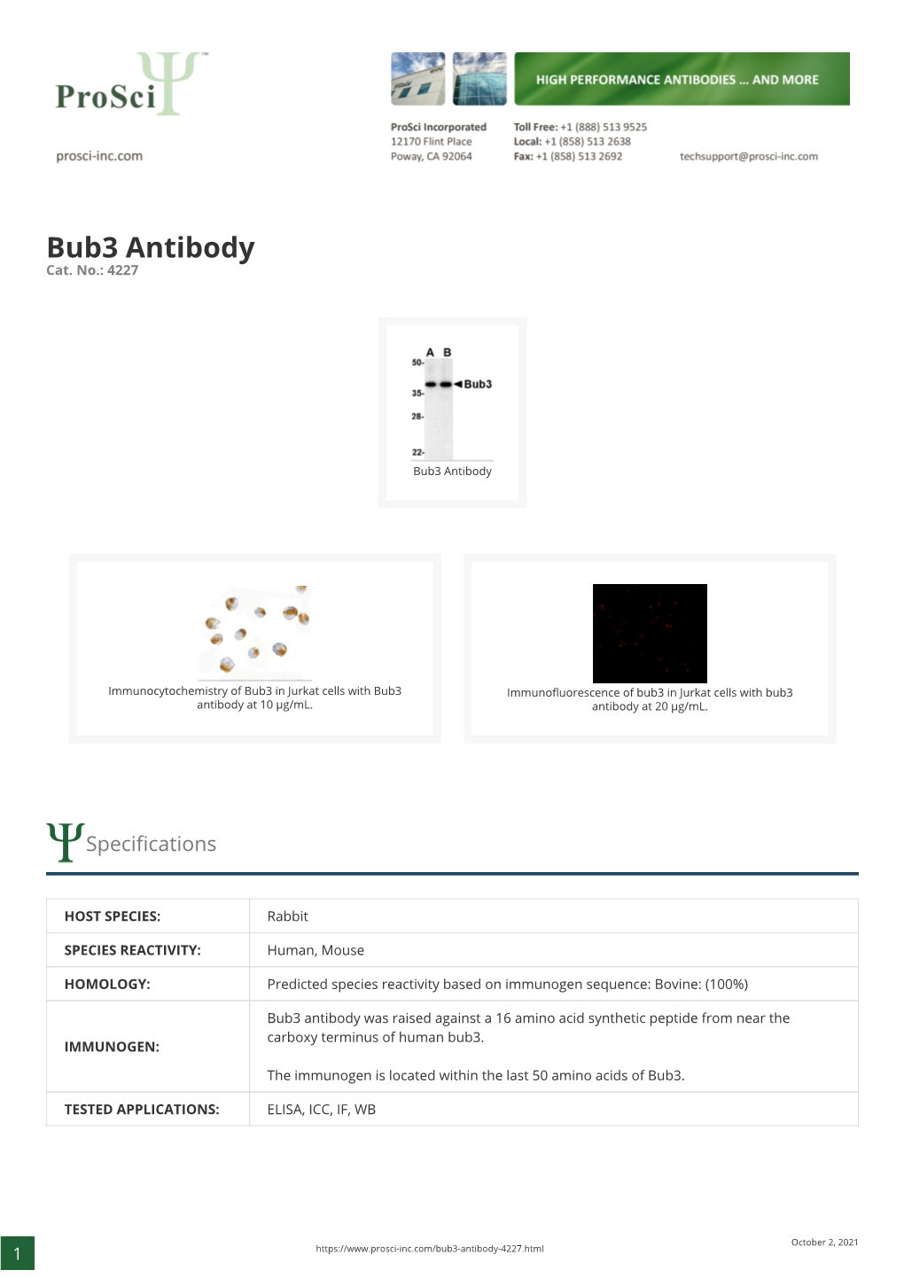 Bub3 Antibody Cat
