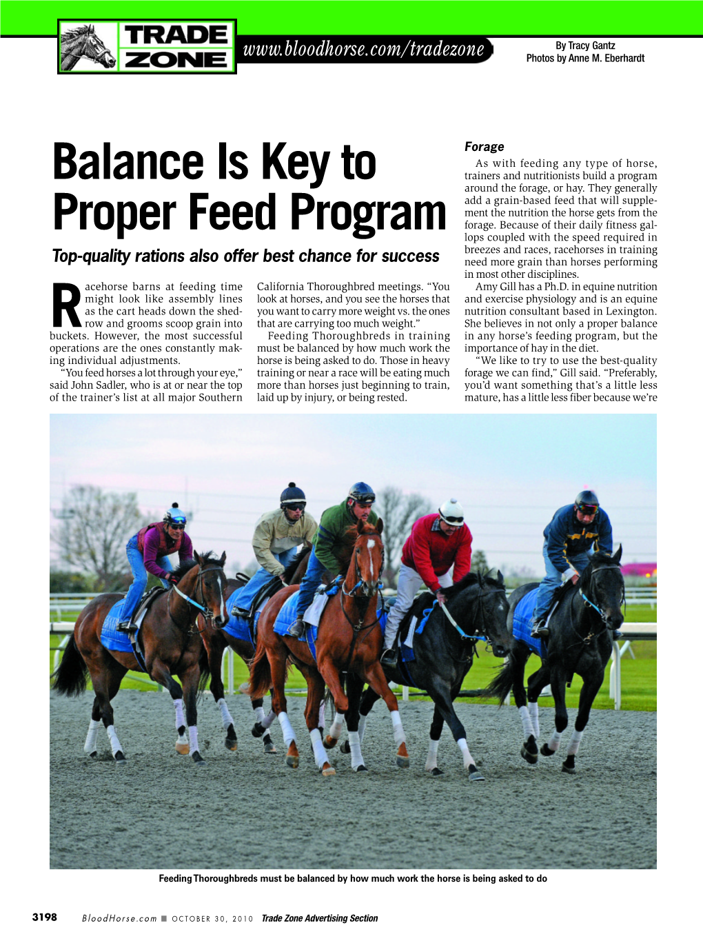 Racehorses in Training Top-Quality Rations Also Offer Best Chance for Success Need More Grain Than Horses Performing in Most Other Disciplines