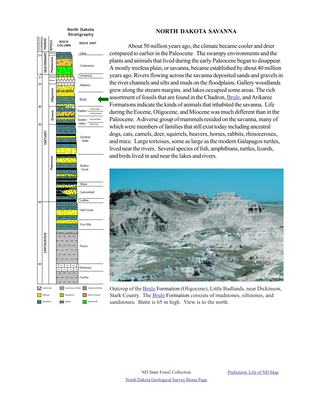 Chadron and Brule Formation