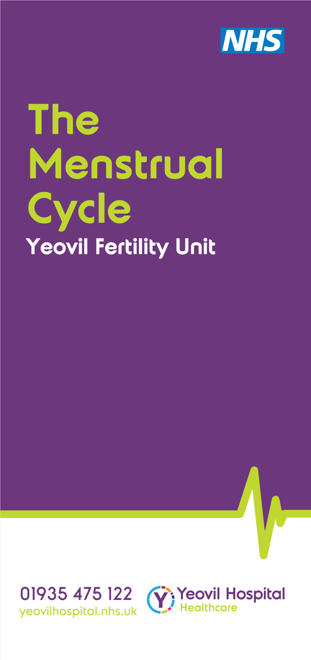 The Menstrual Cycle Yeovil Fertility Unit