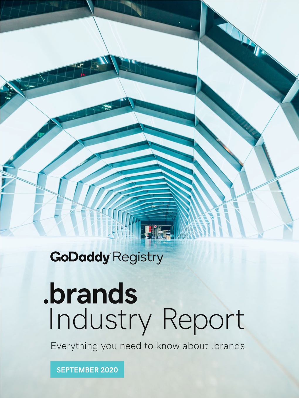 Industry Report .Brands