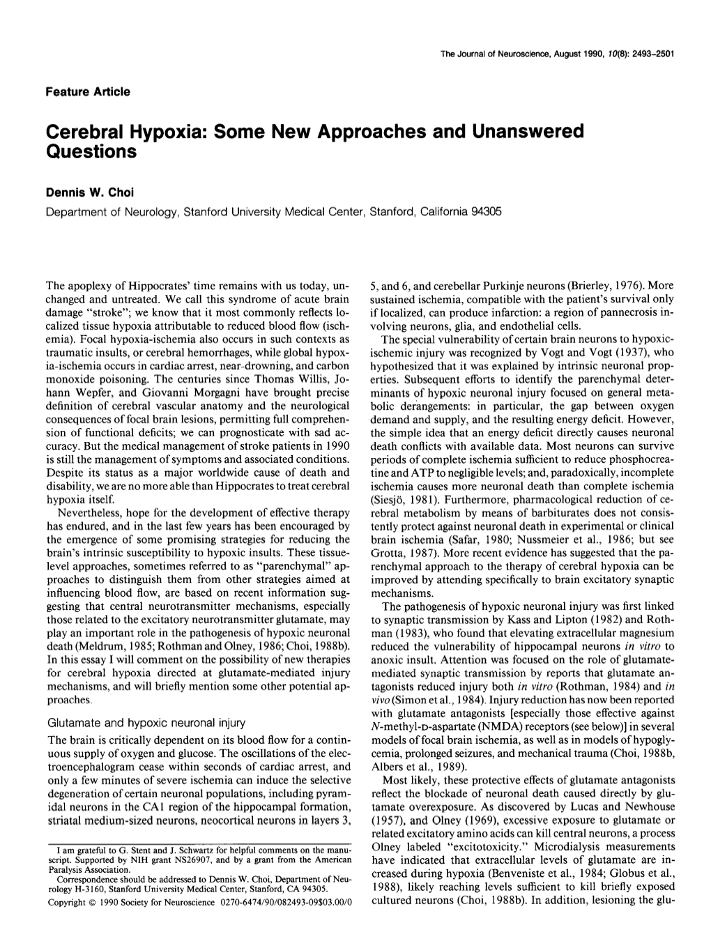 Cerebral Hypoxia: Some New Approaches and Unanswered Questions