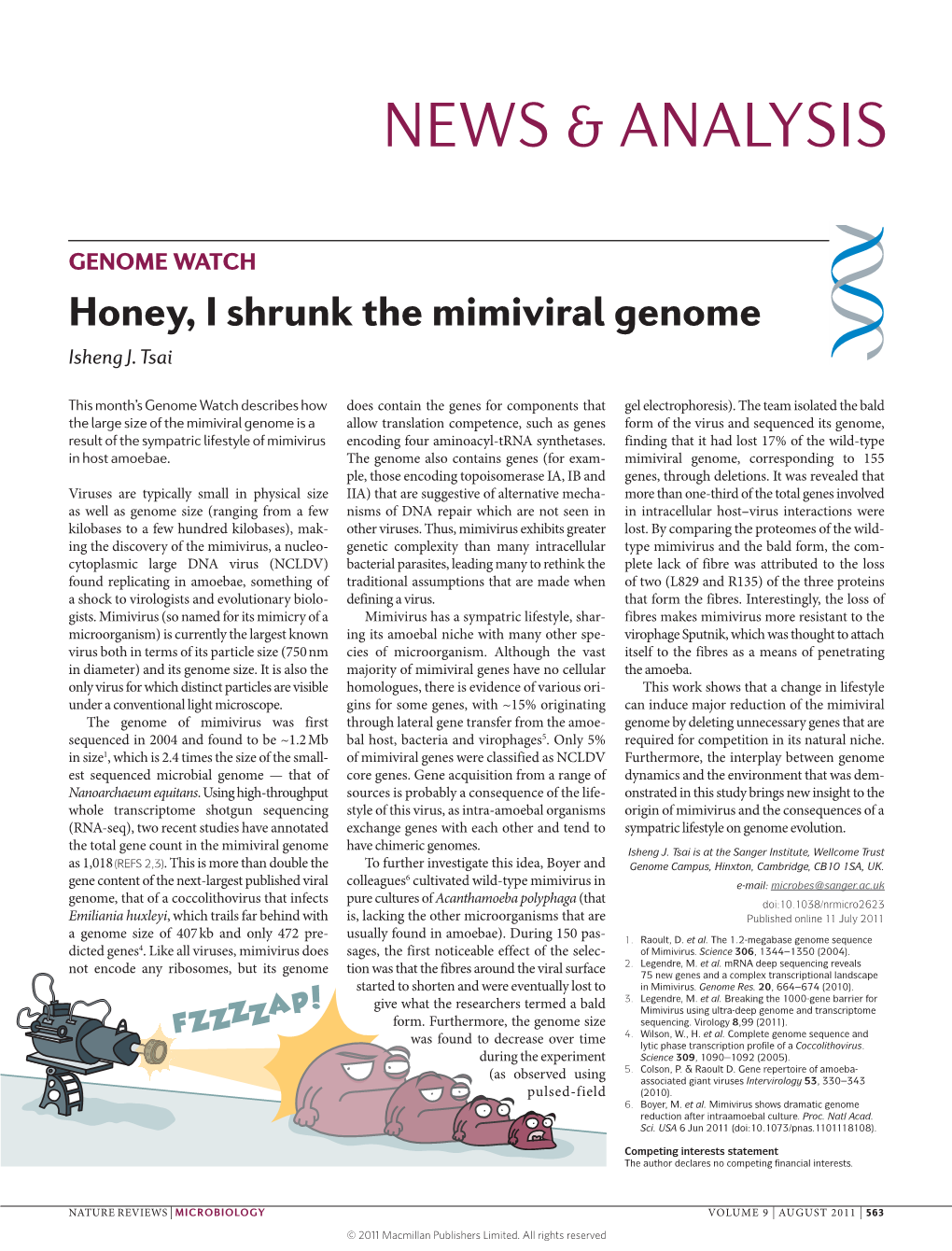 Genome Watchhoney, I Shrunk the Mimiviral Genome