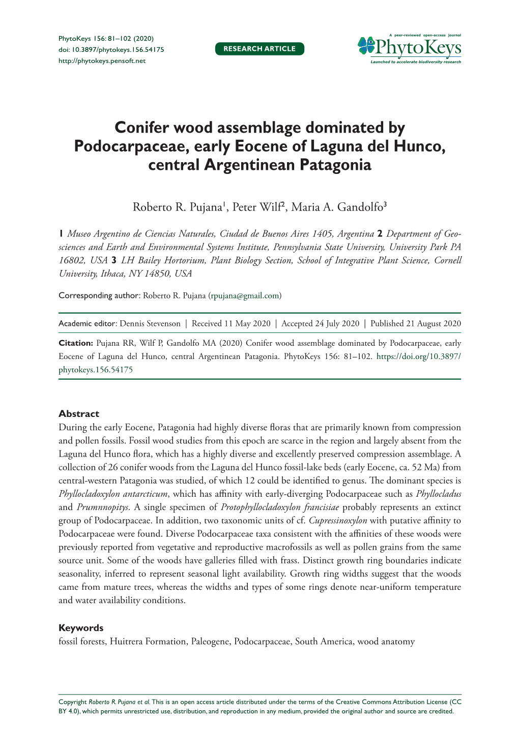 Pdf Terada K, Asakawa TO, Nishida H (2006B) Fossil Woods from the Loreto Formation of Las Minas, Magallanes (XII) Region, Chile