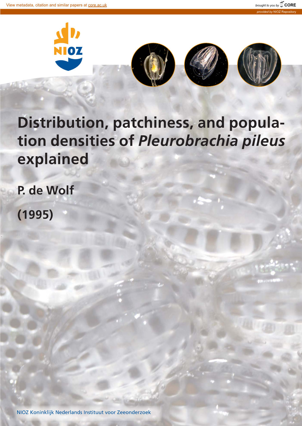 Tion Densities of Pleurobrachia Pileus Explained