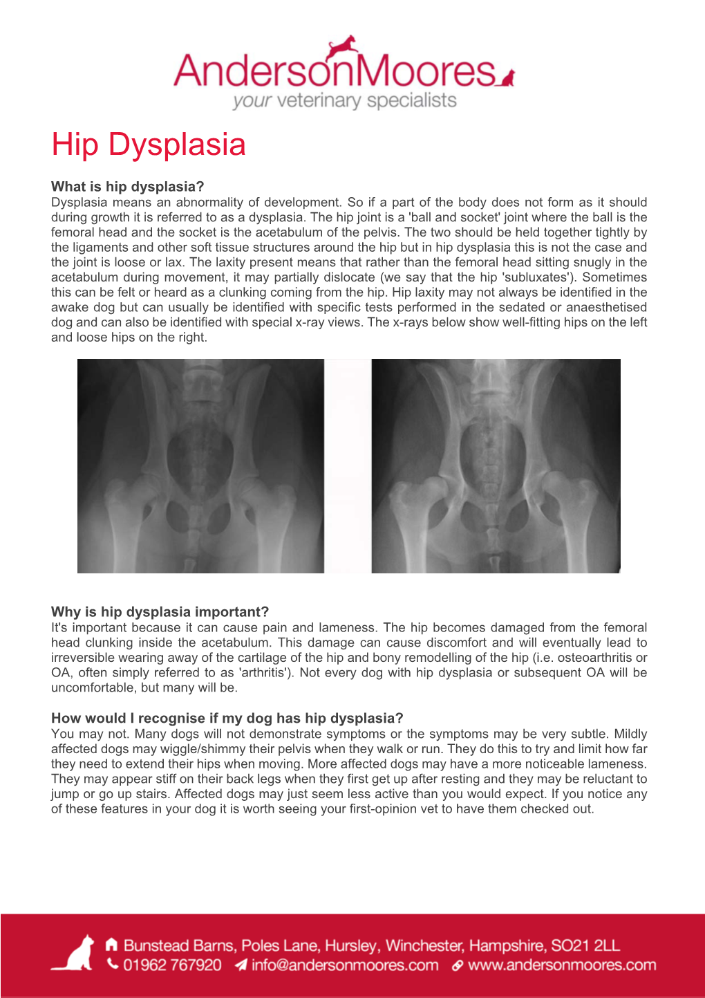 Hip Dysplasia