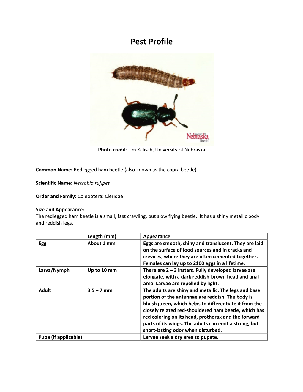 Pest Profile