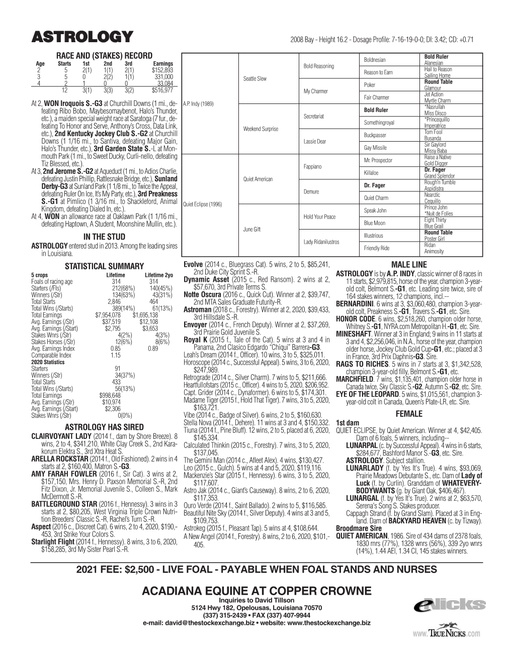 ASTROLOGY 2008 Bay - Height 16.2 - Dosage Profile: 7-16-19-0-0; DI: 3.42; CD: +0.71