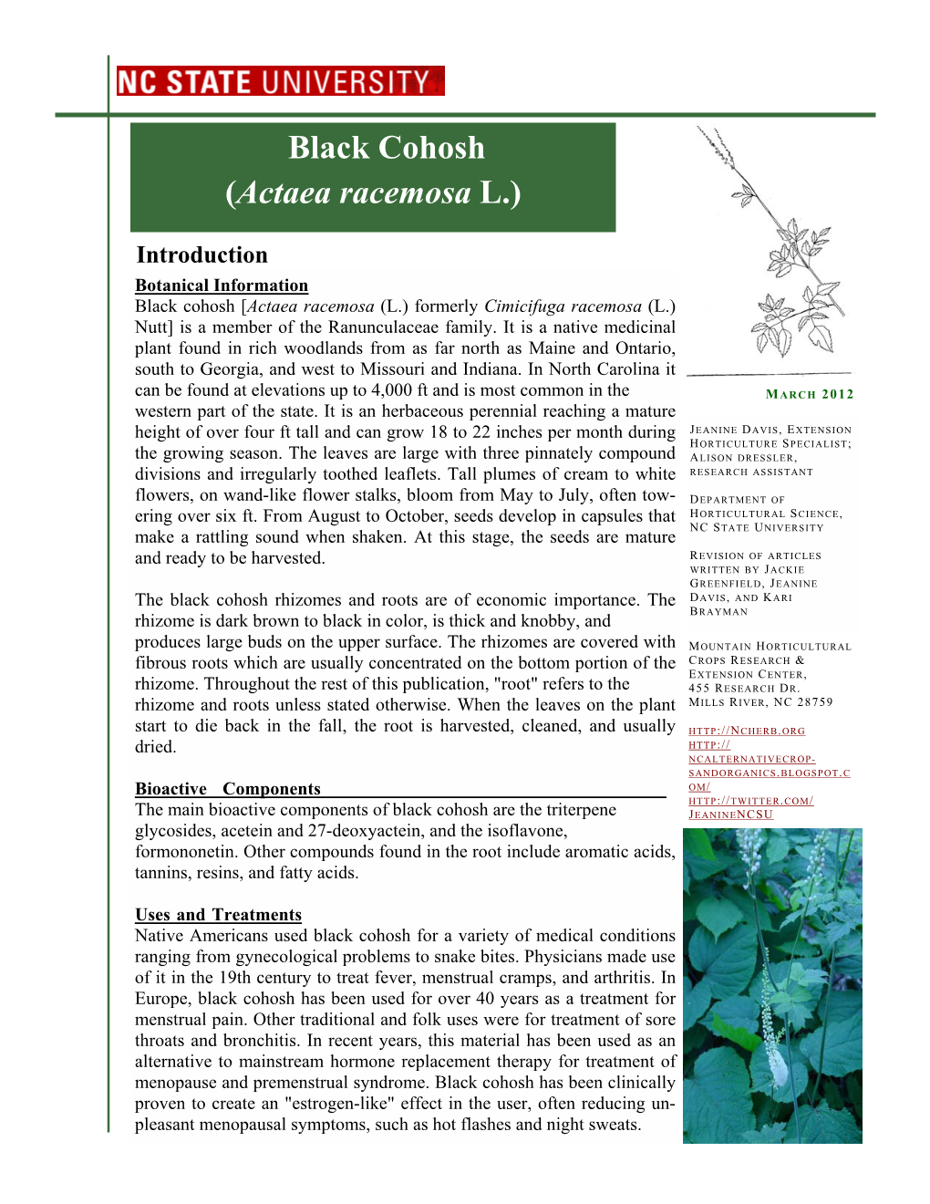 Black Cohosh (Actaea Racemosa L.)