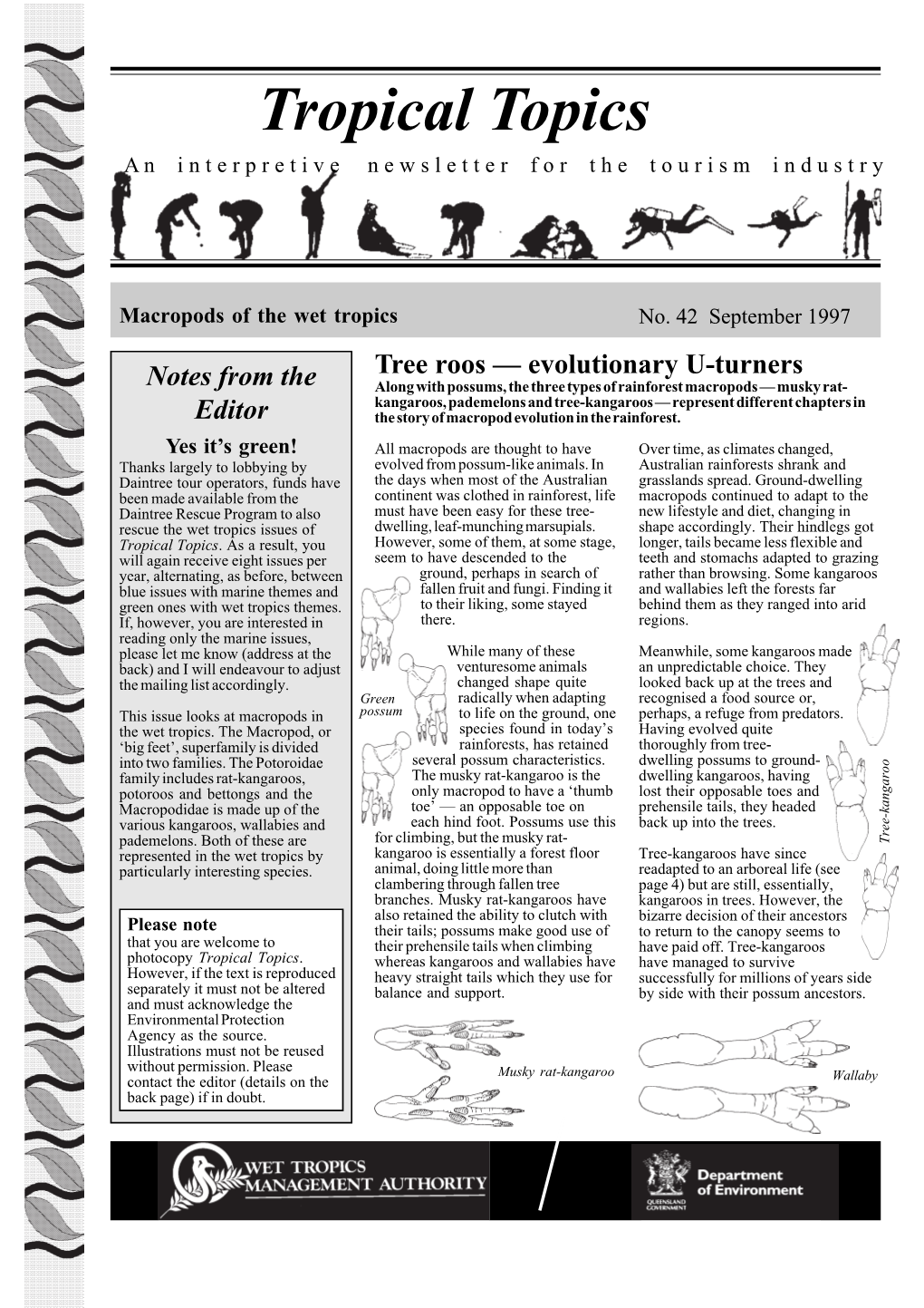 Macropods of the Wet Tropics No