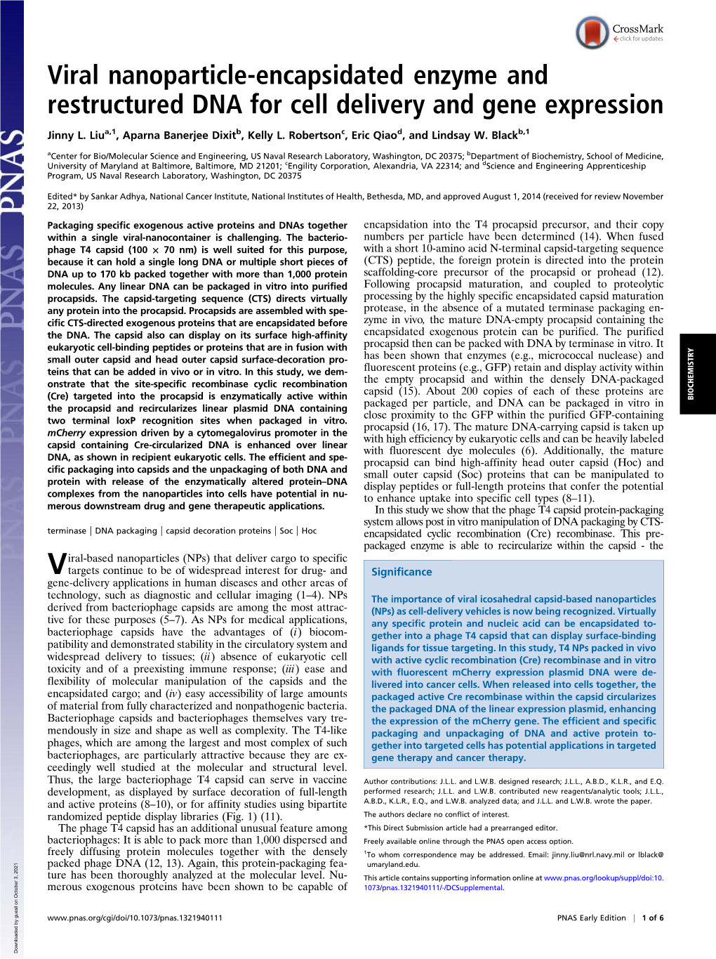 Viral Nanoparticle-Encapsidated Enzyme and Restructured DNA for Cell Delivery and Gene Expression