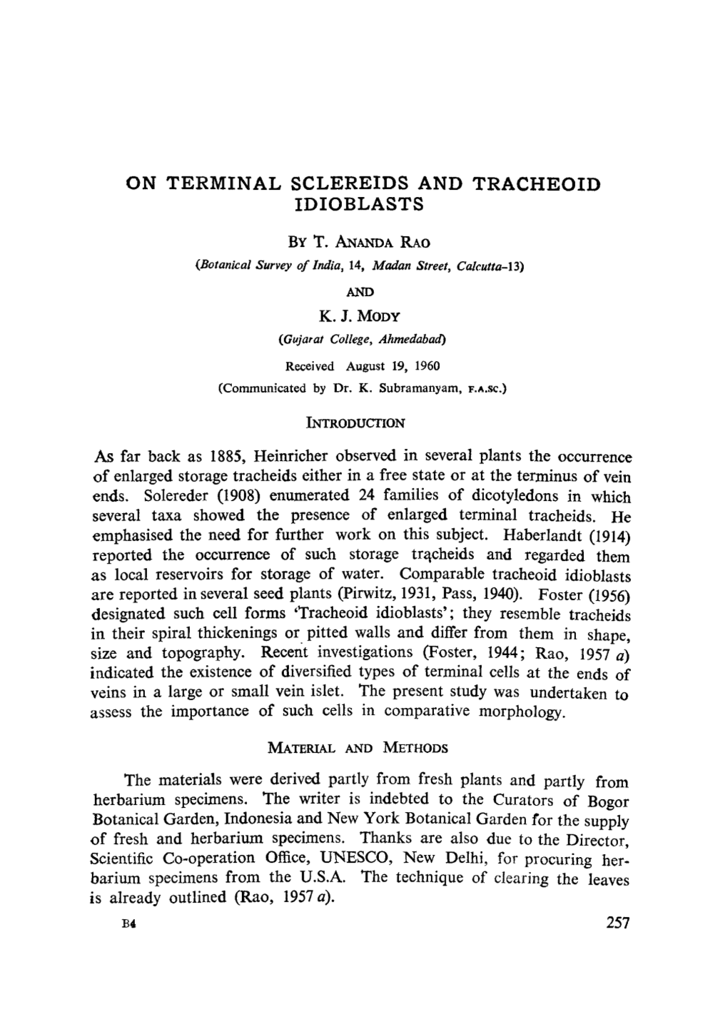 On Terminal Sclereids and Tracheoid Idioblasts by T