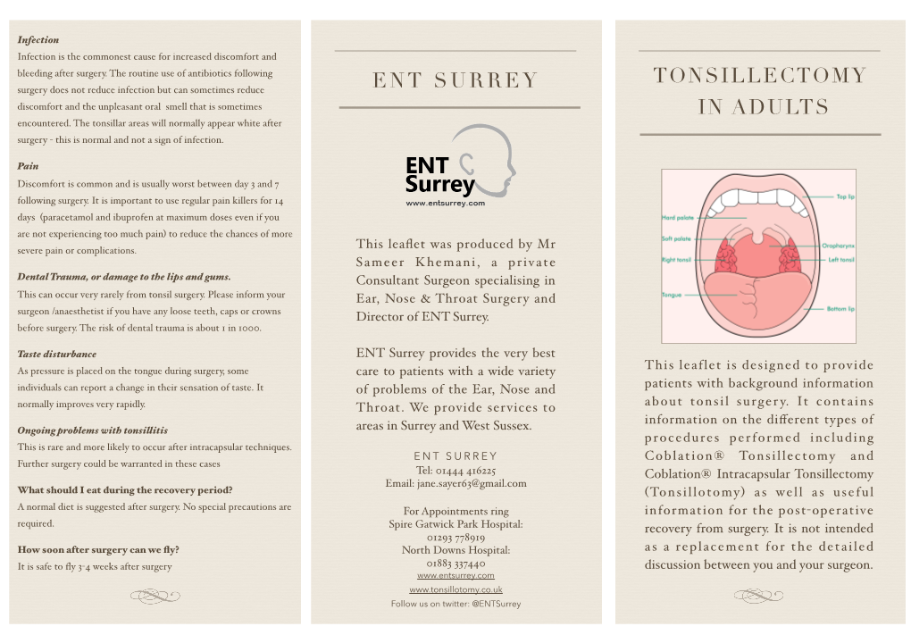 Tonsil in Adults