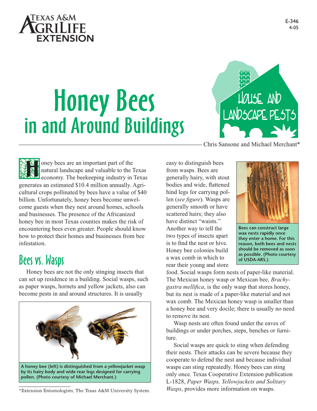 Honey Bees Around Buildings