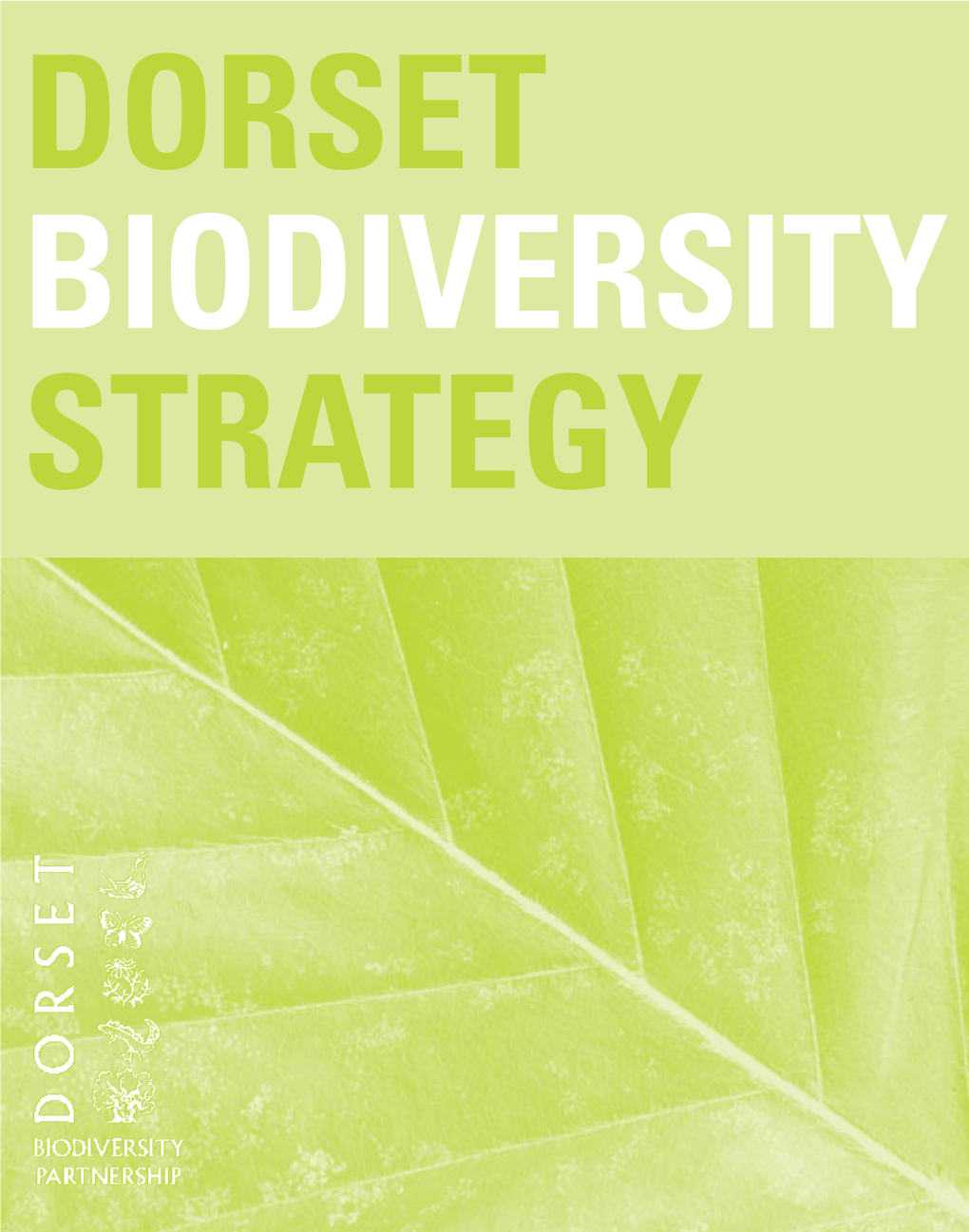 Dorset Biodiversity Strategy 2003