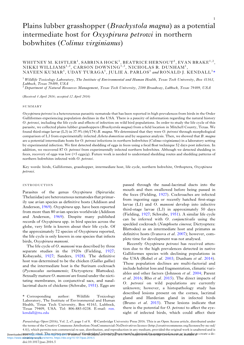 Brachystola Magna) As a Potential Intermediate Host for Oxyspirura Petrowi in Northern Bobwhites (Colinus Virginianus)