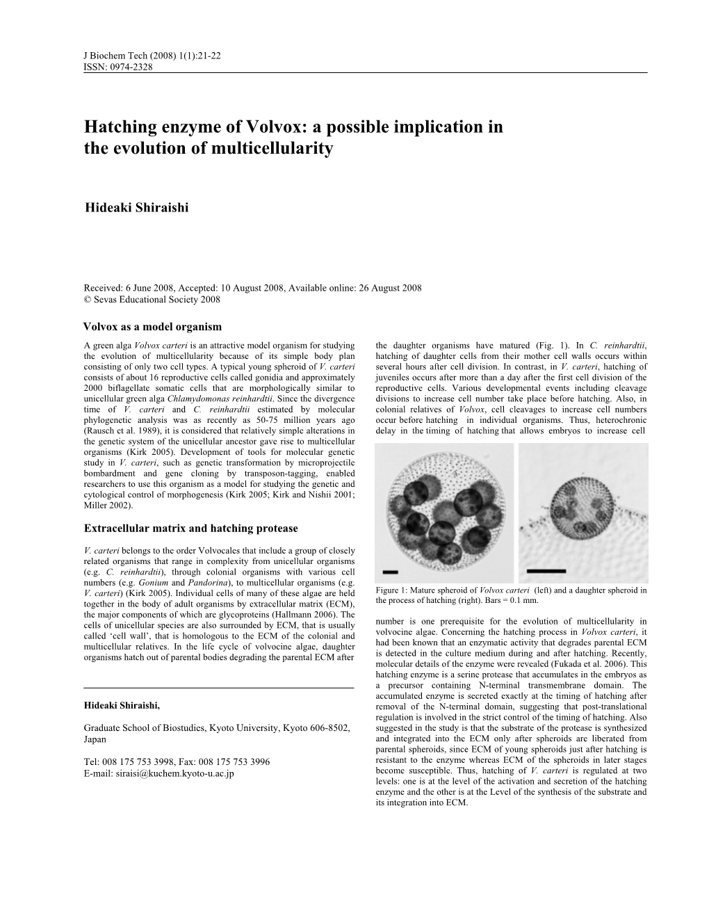 Hatching Enzyme of Volvox: a Possible Implication in the Evolution