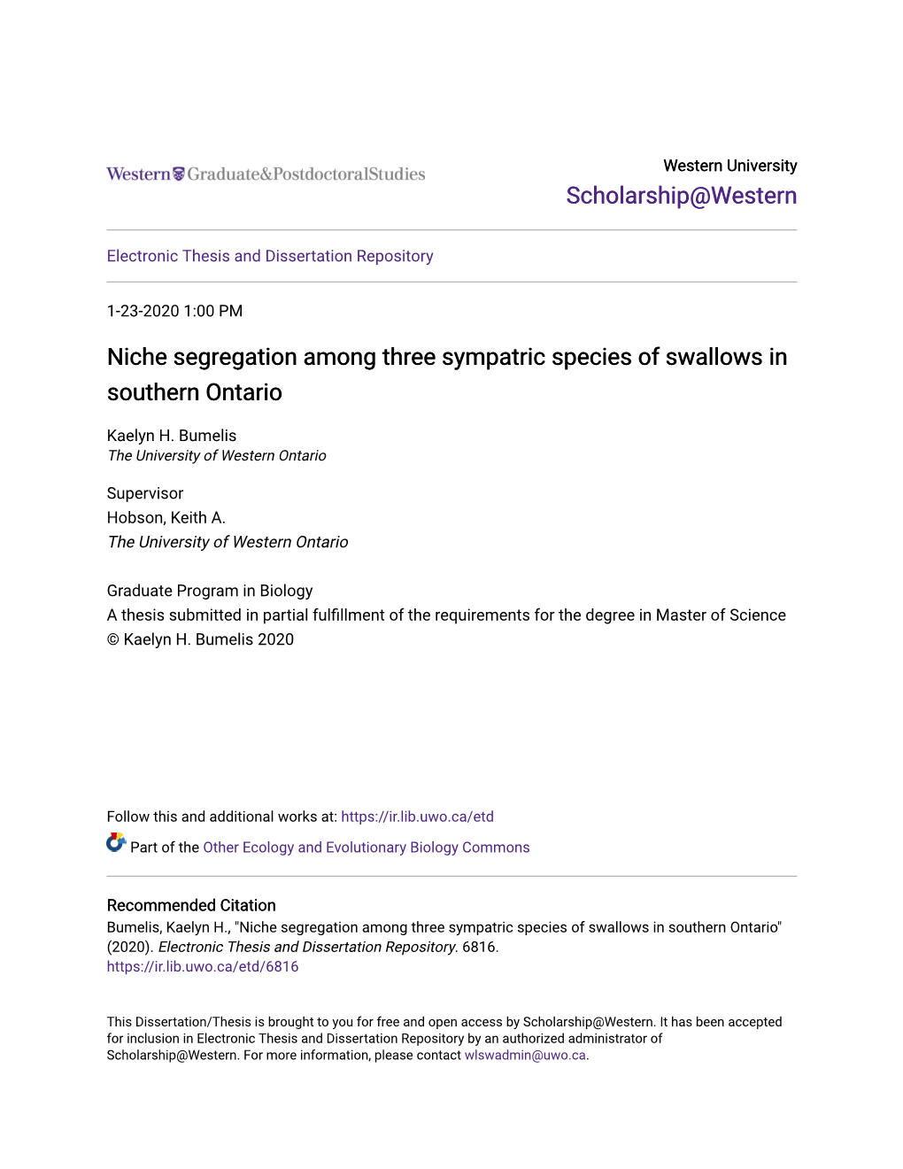 Niche Segregation Among Three Sympatric Species of Swallows in Southern Ontario