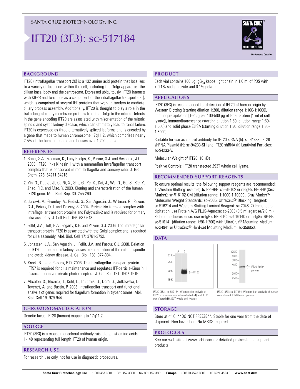 IFT20 (3F3): Sc-517184