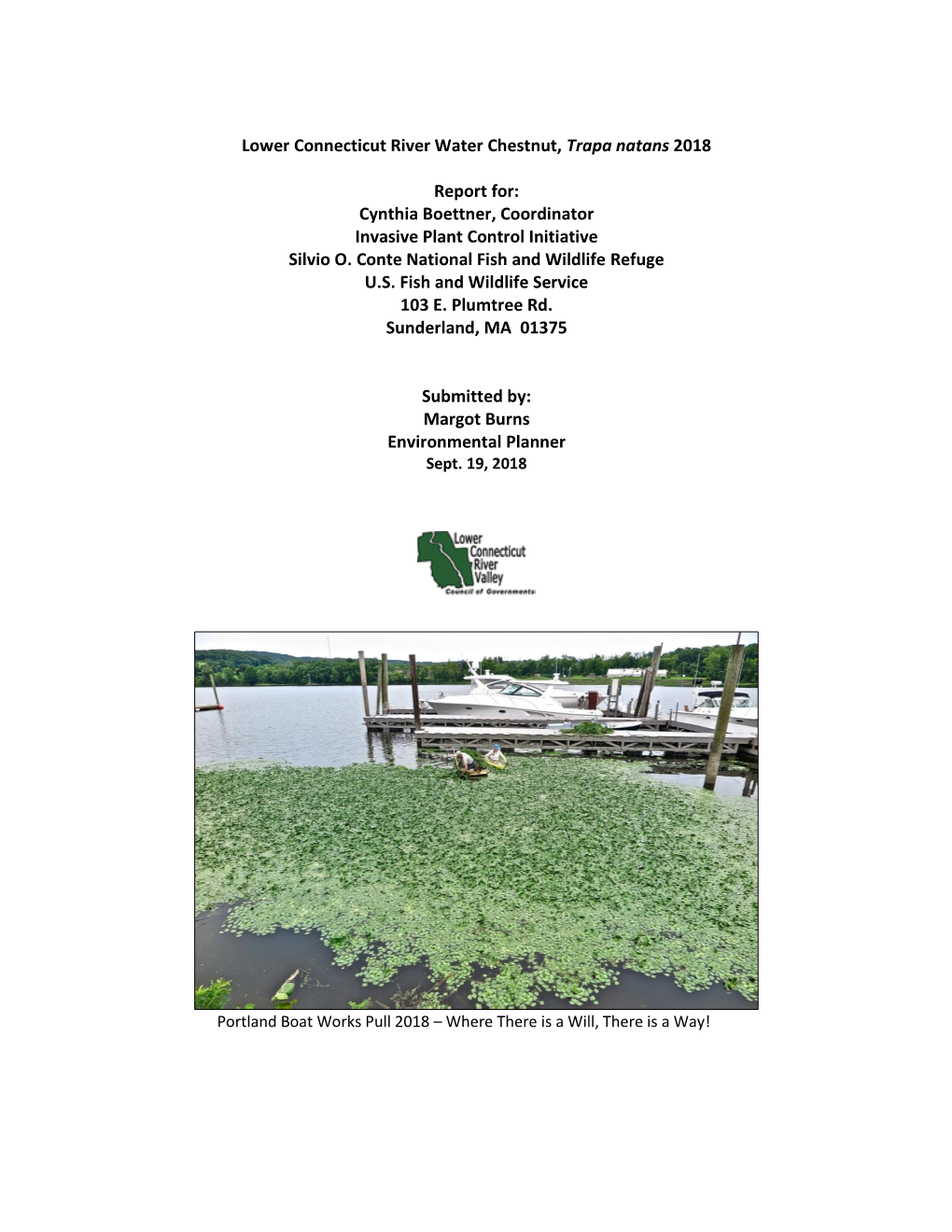 Lower Connecticut River Water Chestnut, Trapa Natans 2018 Report For: Cynthia Boettner, Coordinator Invasive Plant Control Init