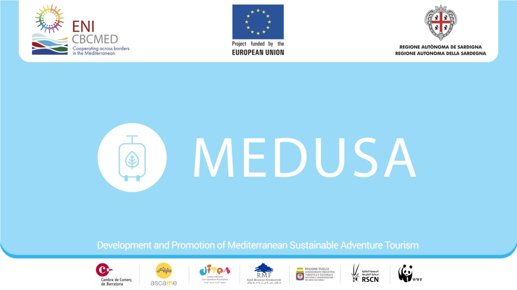 Medusa-Jordan-Kickoff-Ppt.Pdf