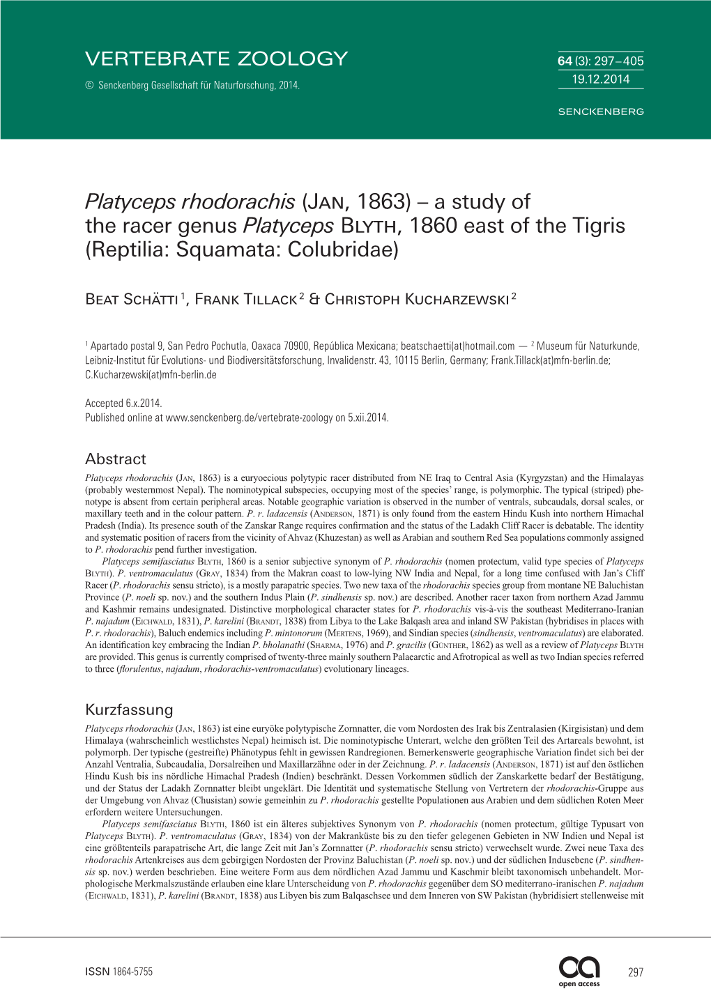 Platyceps Rhodorachis (Jan, 1863) – a Study of the Racer Genus Platyceps Blyth, 1860 East of the Tigris (Reptilia: Squamata: Colubridae)