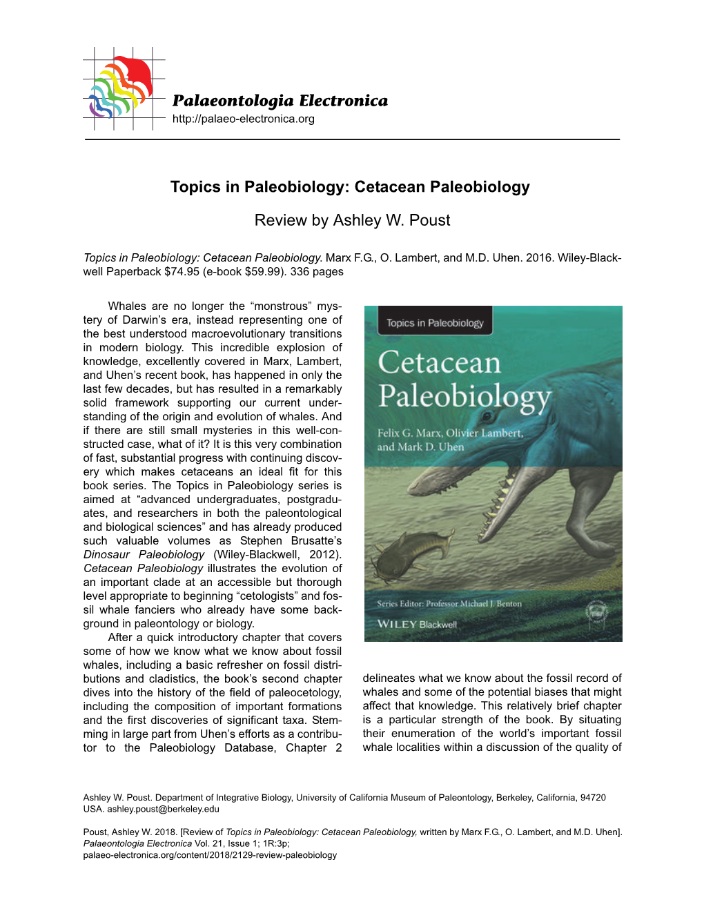 Cetacean Paleobiology Review by Ashley