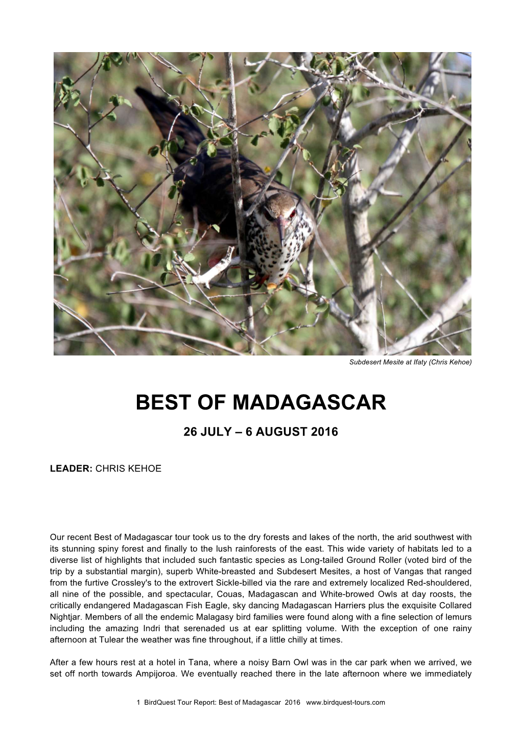 Best of Madagascar