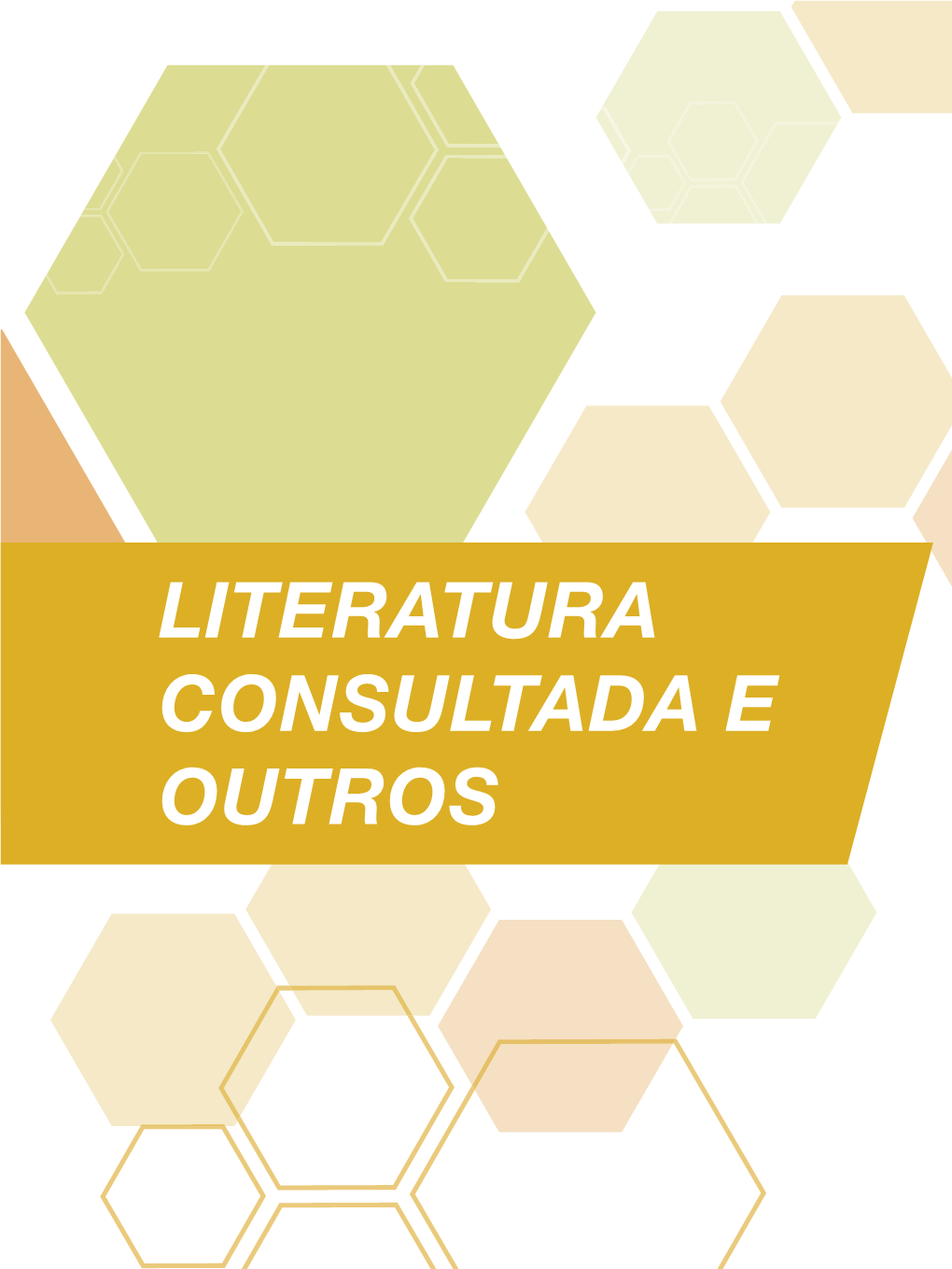 LITERATURA CONSULTADA E OUTROS Sumário Dos Capítulos