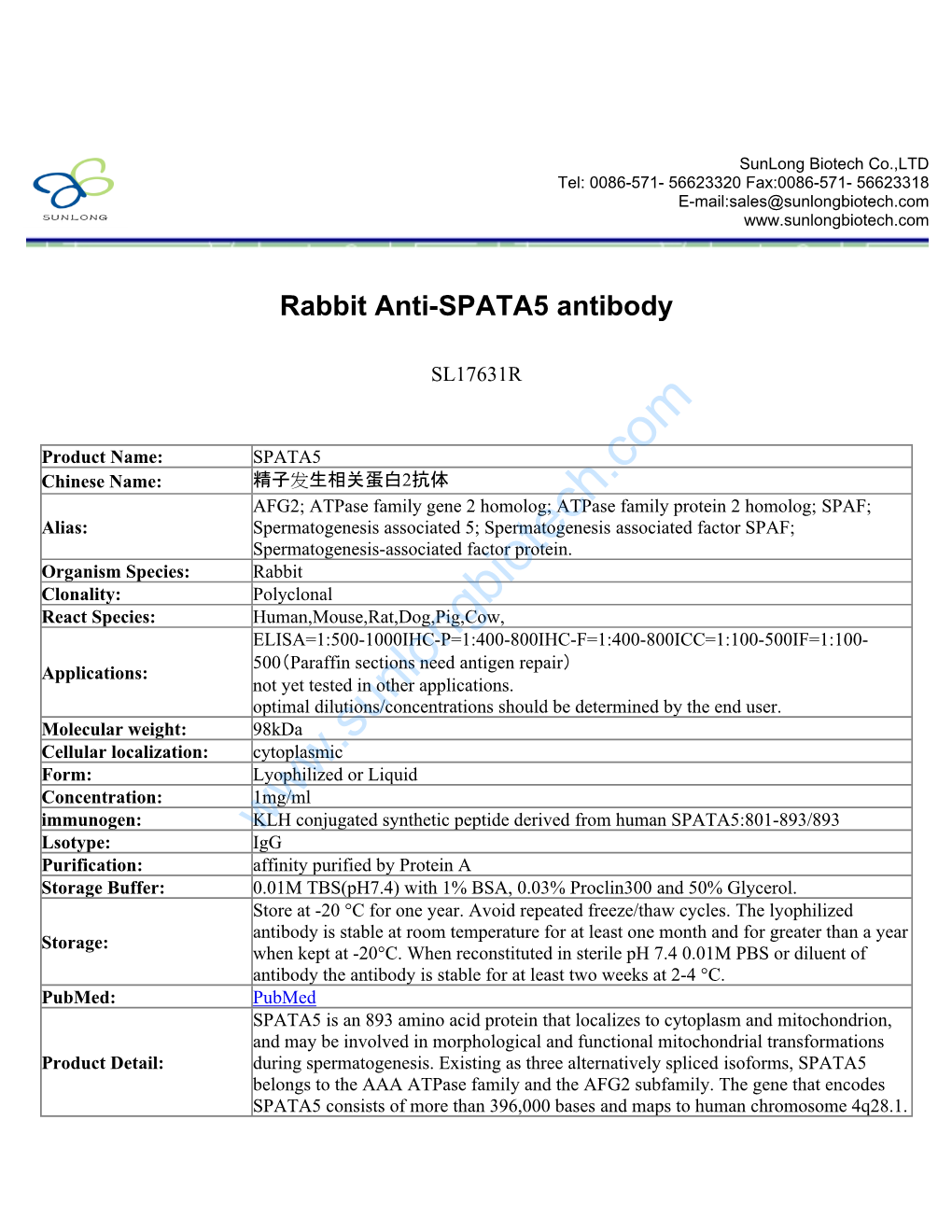 Rabbit Anti-SPATA5 Antibody-SL17631R