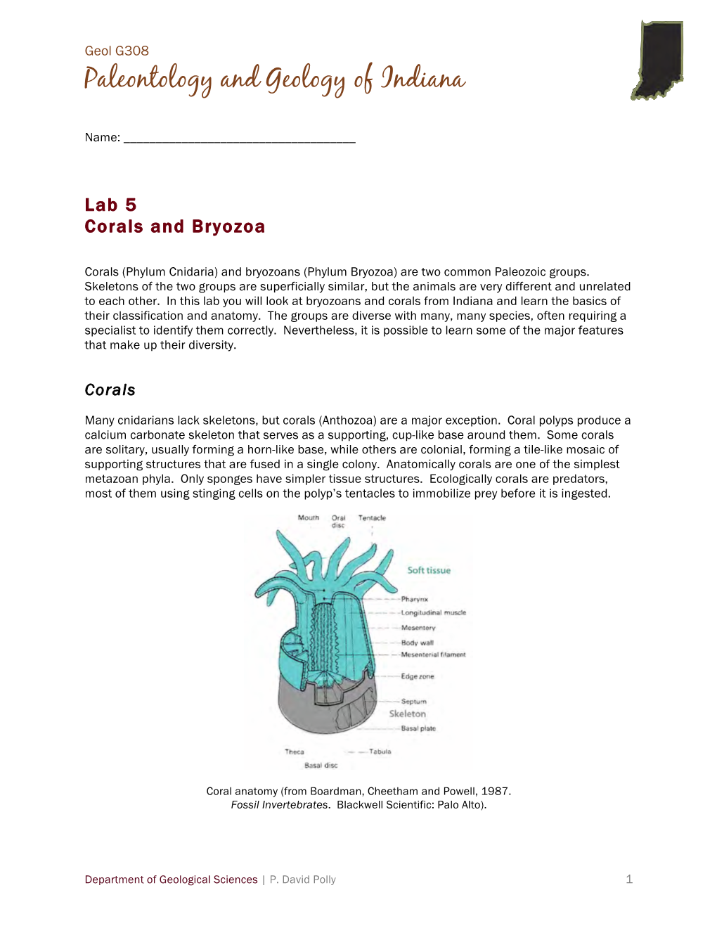 Bryozoans and Corals from Indiana and Learn the Basics of Their Classification and Anatomy