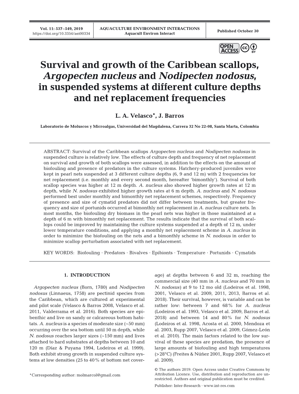 Survival and Growth of the Caribbean Scallops, Argopecten Nucleus And