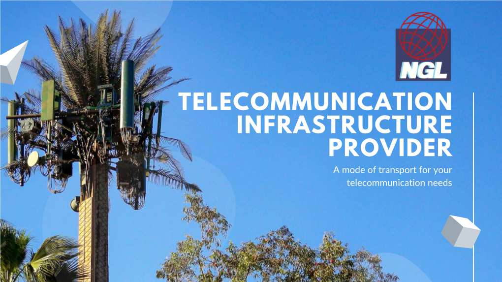 TELECOMMUNICATION INFRASTRUCTURE PROVIDER a Mode of Transport for Your Telecommunication Needs the OUTLINE