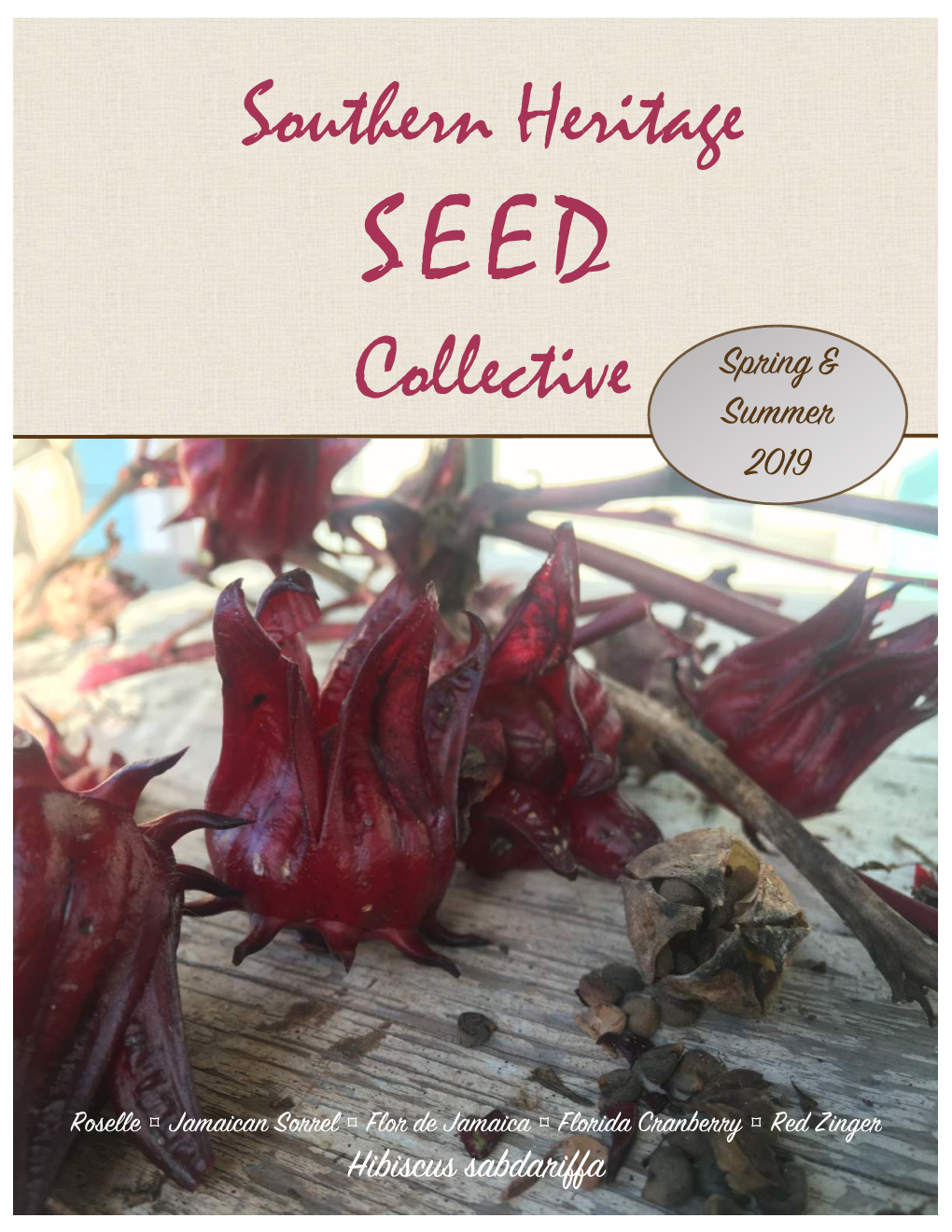 SEED Collective Spring & Summer 2019