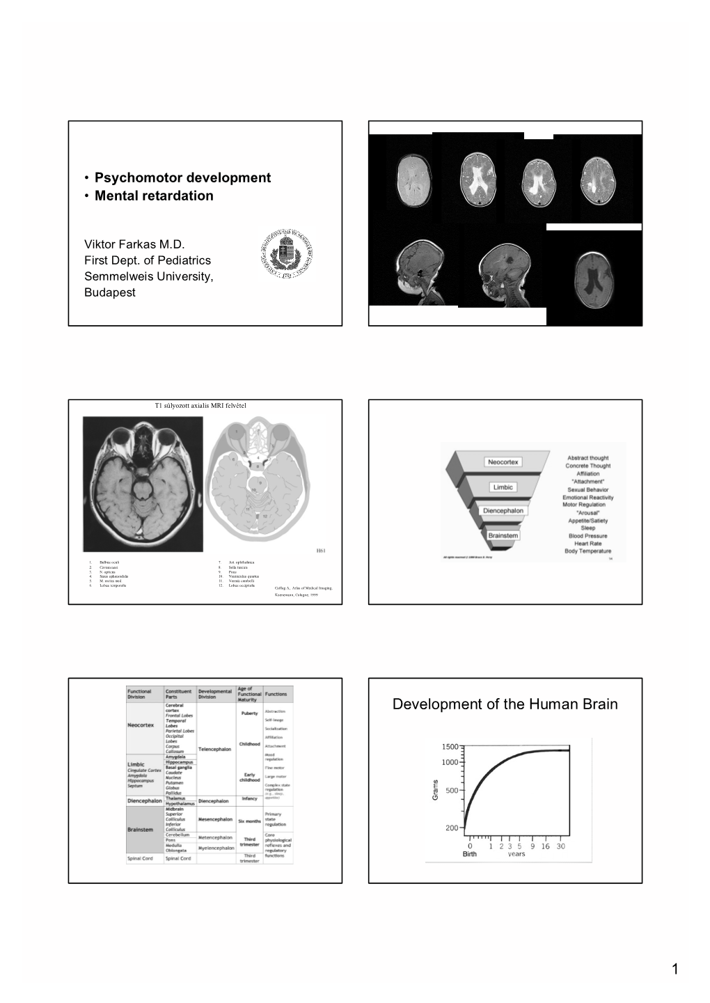 1 Development of the Human Brain Development of Human Brain