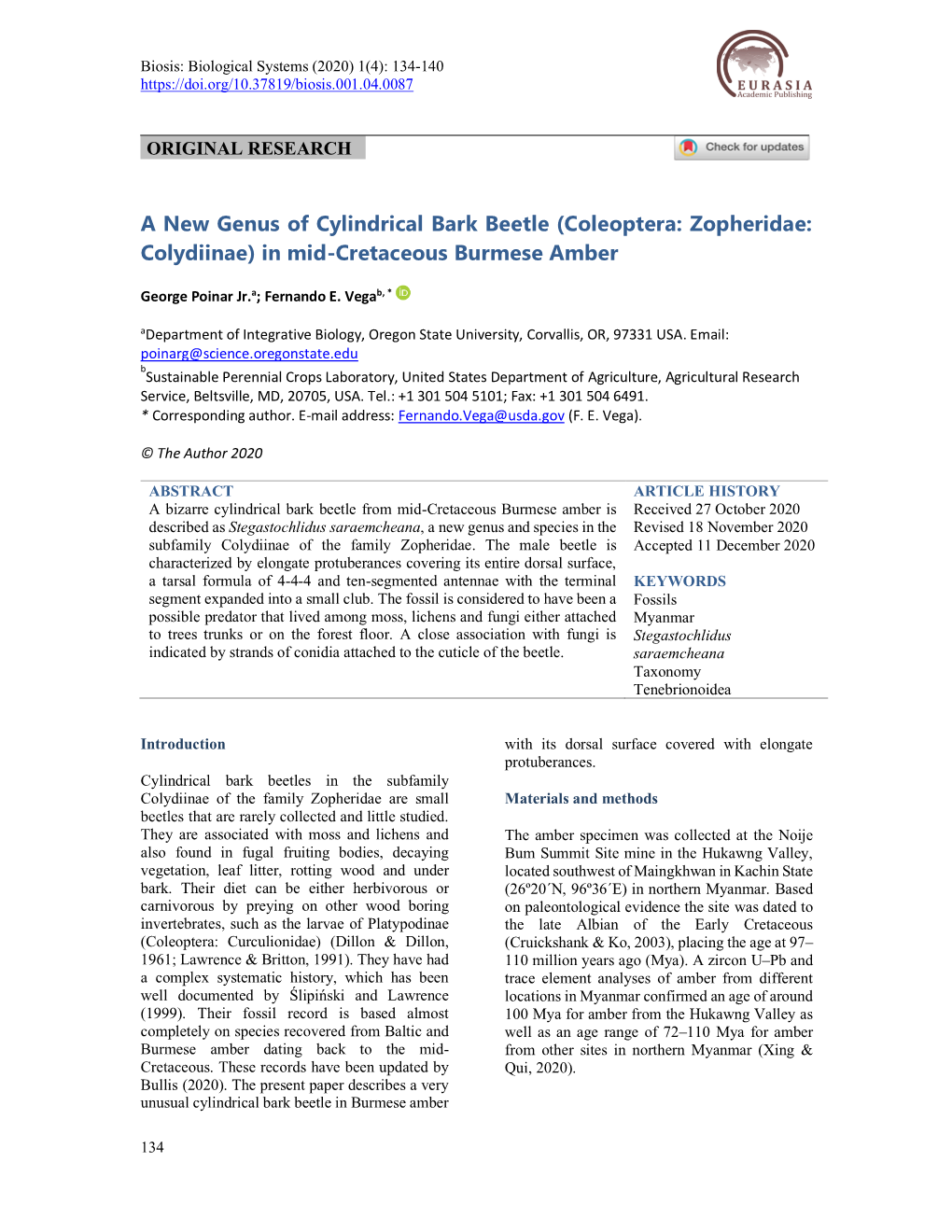 (Coleoptera: Zopheridae: Colydiinae) in Mid-Cretaceous Burmese Amber