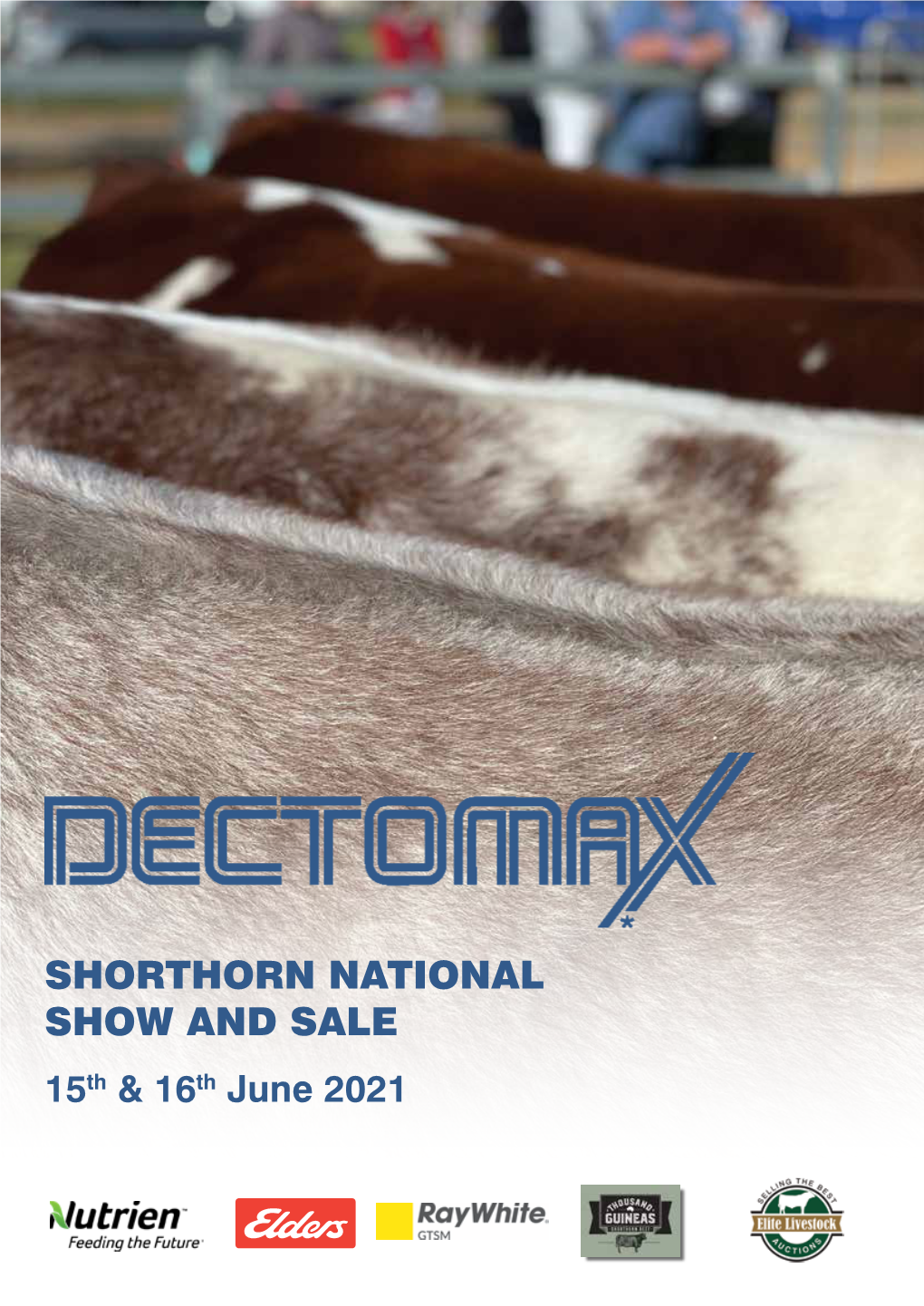 Shorthorn National Show and