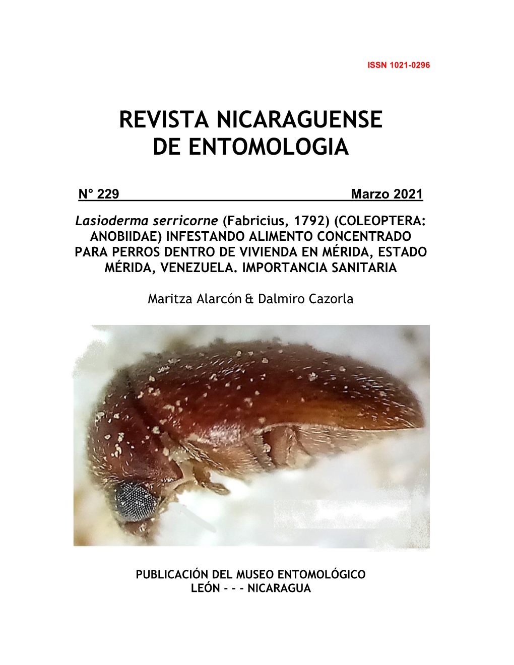 Lasioderma Serricorne (Fabricius, 1792) (COLEOPTERA: ANOBIIDAE) INFESTANDO ALIMENTO CONCENTRADO PARA PERROS DENTRO DE VIVIENDA EN MÉRIDA, ESTADO MÉRIDA, VENEZUELA