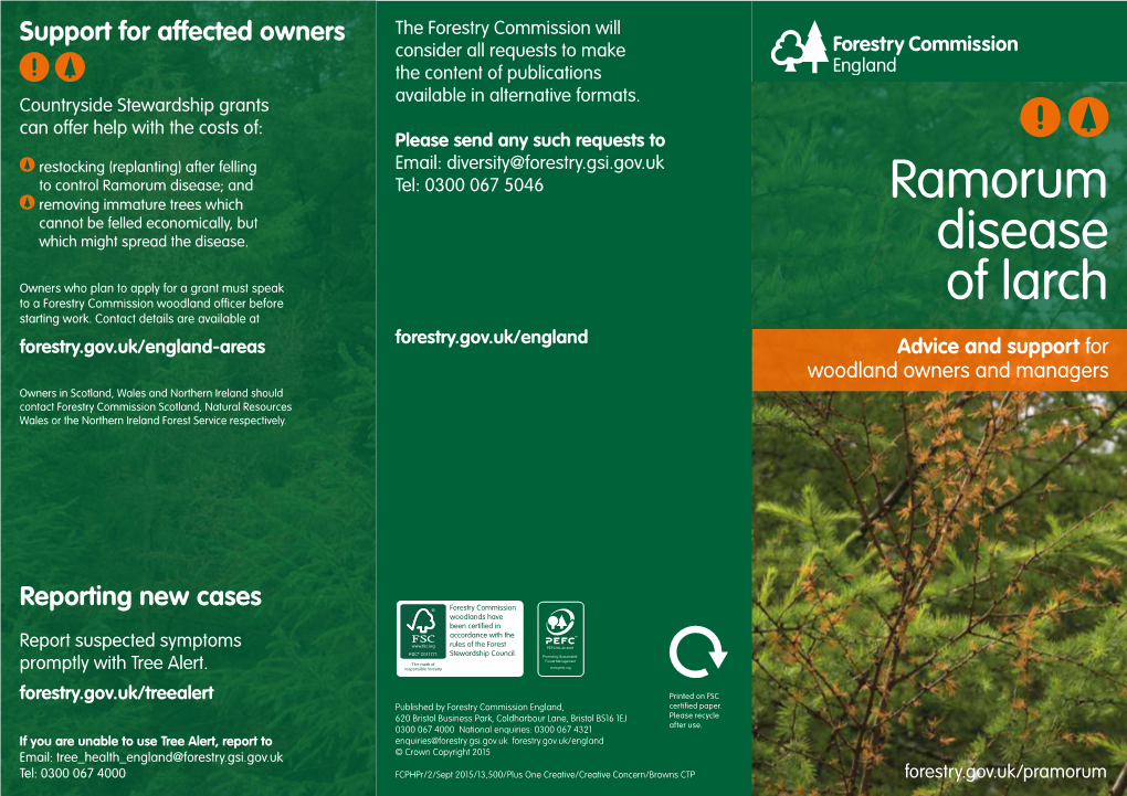 Ramorum Disease of Larch