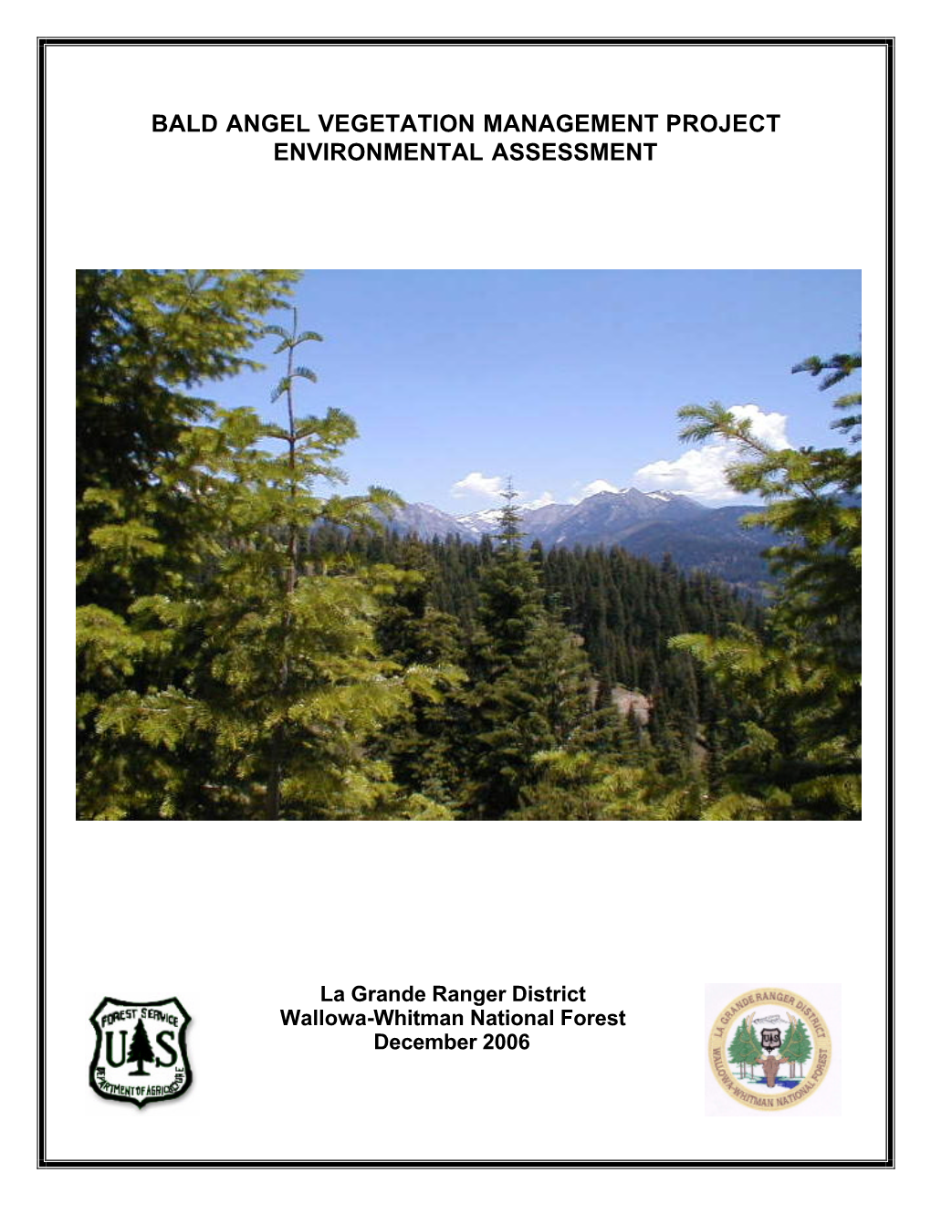 Bald Angel Vegetation Management Project Environmental Assessment