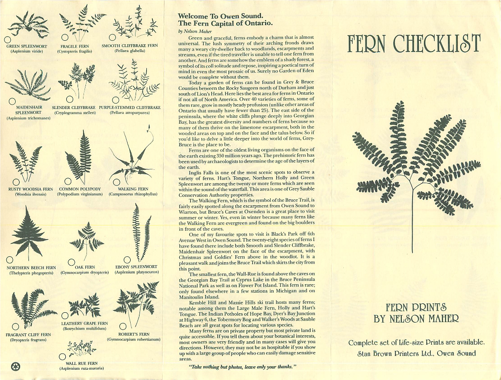 FERN CHECKLIST Streams, Even If the Tired Traveller Is Unable to Tell One Fern from Another
