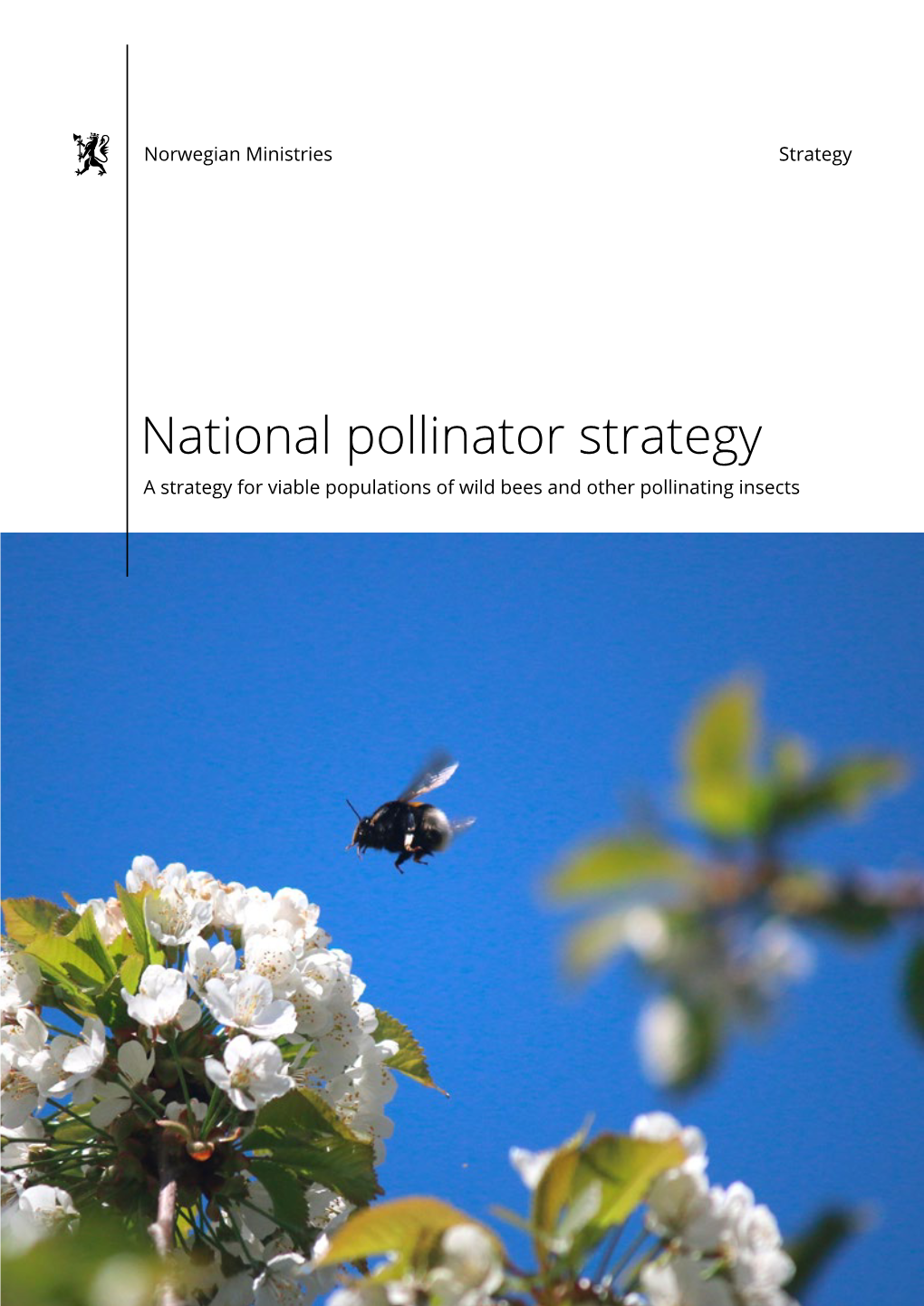 National Pollinator Strategy a Strategy for Viable Populations of Wild Bees and Other Pollinating Insects Hay Meadow in Buskerud