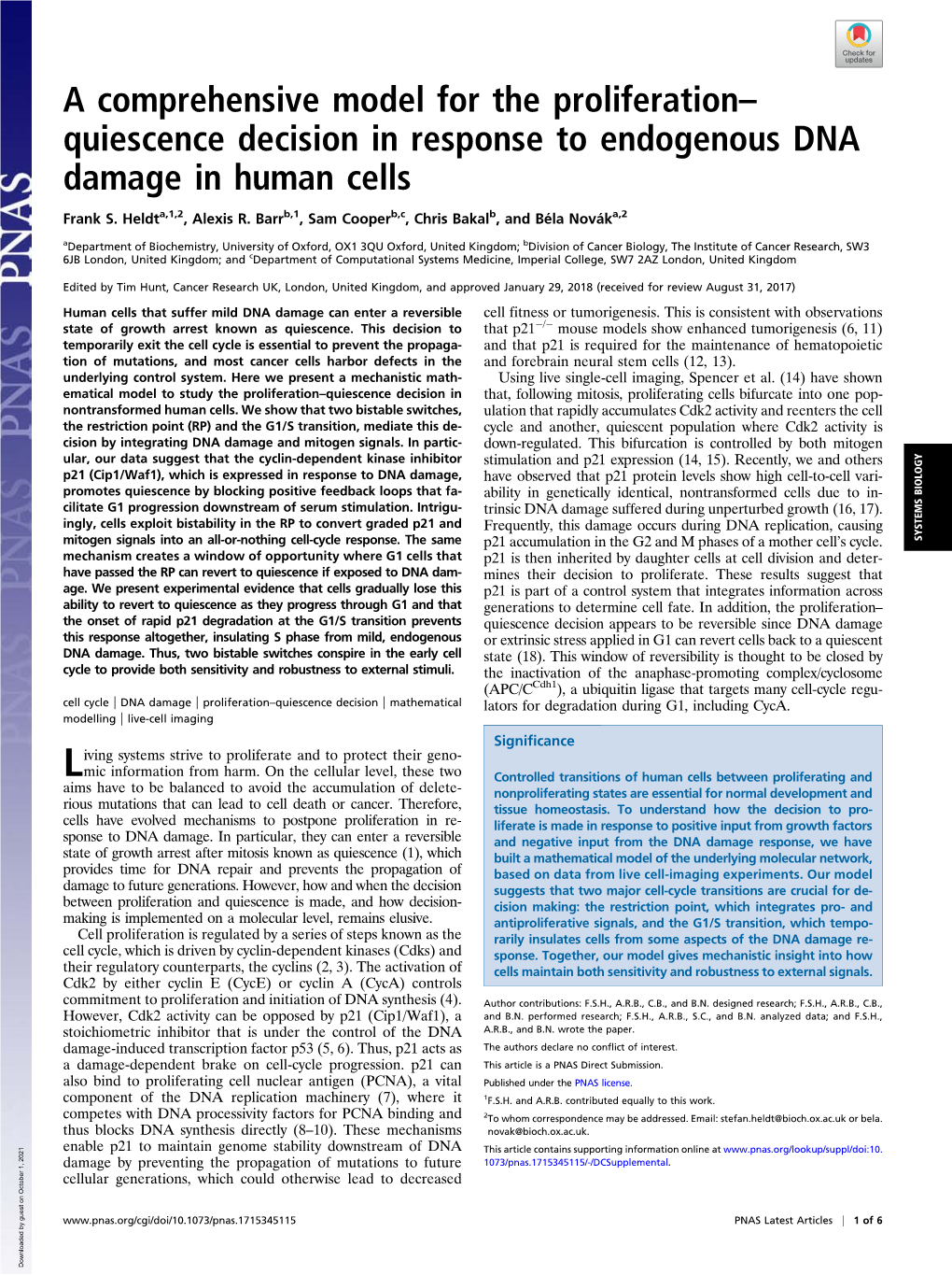 Quiescence Decision in Response to Endogenous DNA Damage in Human Cells