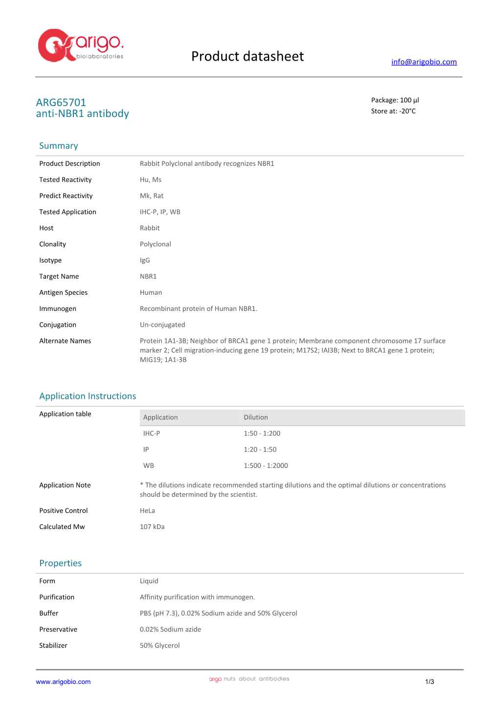 Anti-NBR1 Antibody (ARG65701)