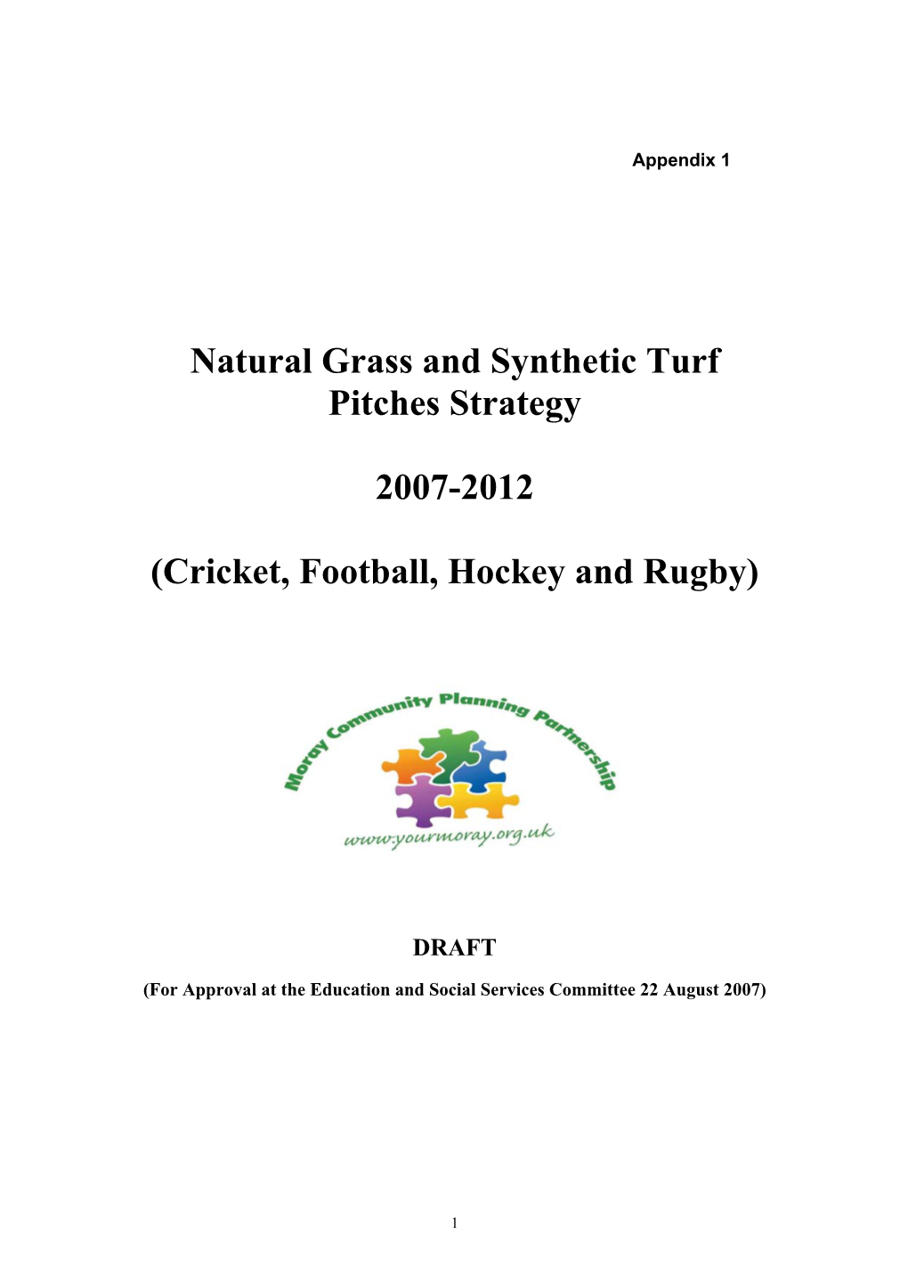 Natural Grass and Synthetic Turf Pitches Strategy