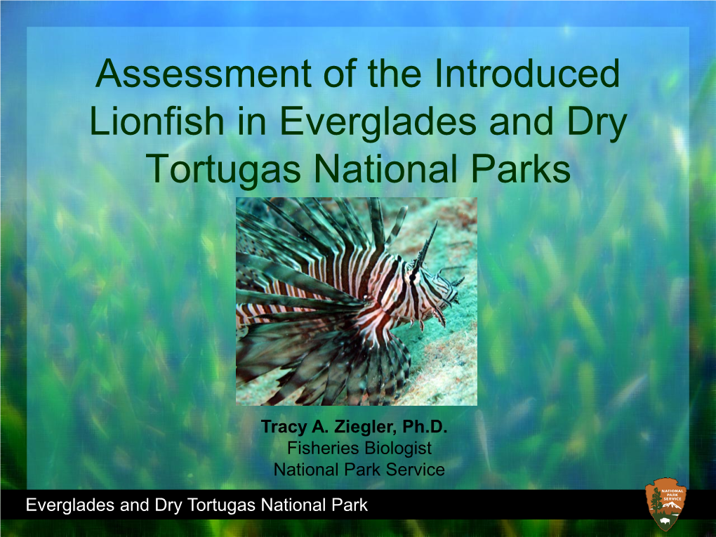 Assessment of the Introduced Lionfish in Everglades and Dry Tortugas National Parks