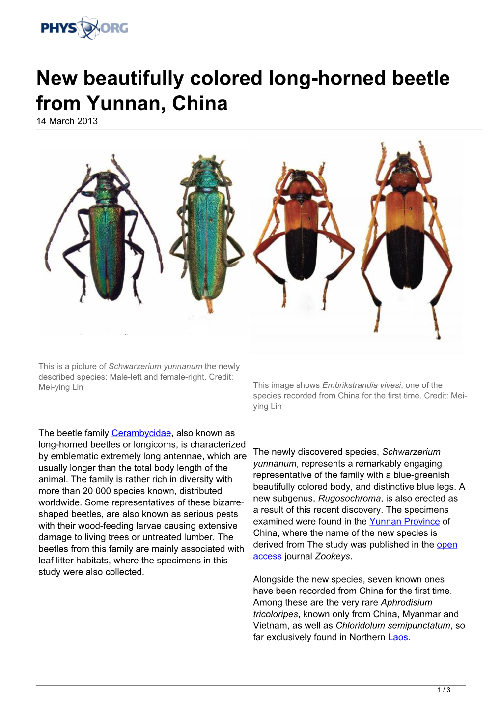 New Beautifully Colored Long-Horned Beetle from Yunnan, China 14 March 2013