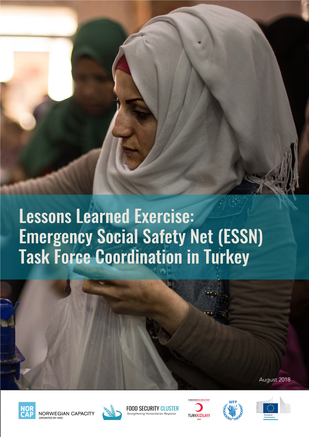 Lessons Learned Exercise: Emergency Social Safety Net (ESSN) Task Force Coordination in Turkey